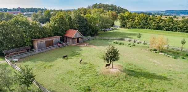 dji verbessert nr b